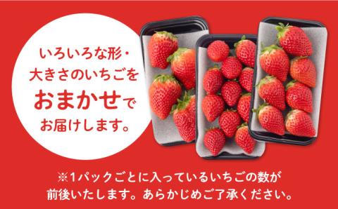 【R8年1月以降発送】産地直送！白石産「いちごさん」 約150g×6パック（計900g以上）【道の駅しろいしカンパニー】イチゴ [IAA022]