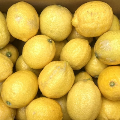 有田産の安心国産レモン約5kg(サイズ混合) (上富田町)