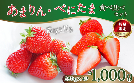 いちご あまりん べにたま 食べ比べ 250g×4 いちご 埼玉県 久喜市