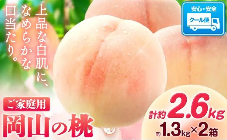 【2027年発送】岡山の桃 約2.6kg　白桃
