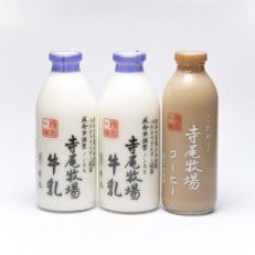 寺尾牧場のこだわり濃厚牛乳(ノンホモ牛乳)2本とコーヒー1本の合計3本セット(新宮市)