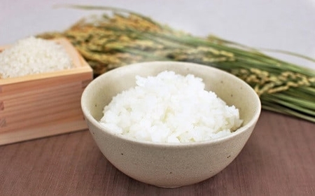 【令和7年産米】新之助 白米 10kg（5kg×2袋）新潟県認証特別栽培米 お米 新潟県産 アグリーホンマ[Y0368]