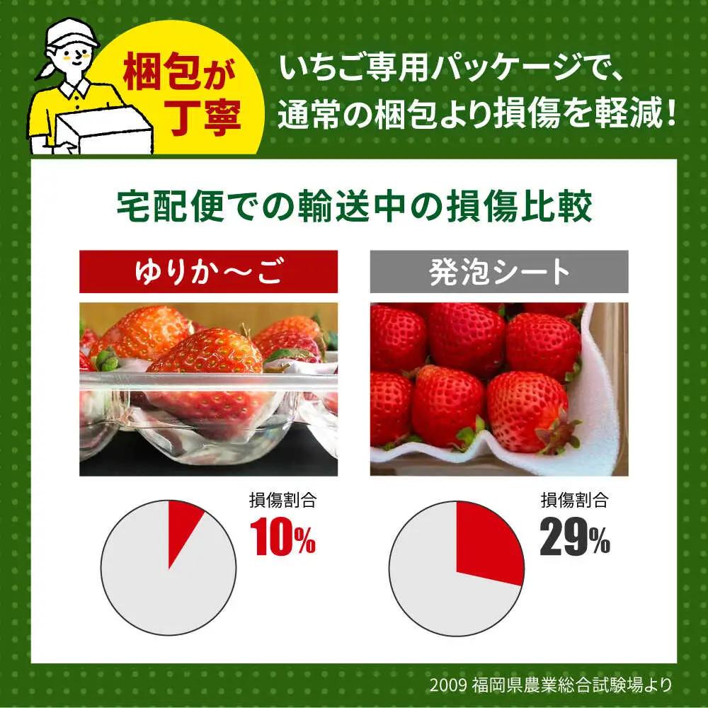 【先行予約】【全3回定期便】 農家直送 朝採り新鮮いちご 約270g×4パック  [ABDG006] いちご