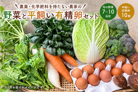 11月発送　農薬・化学肥料を持たない農家の野菜（7～10種類）と 平飼有精卵のセット mi0036-0017-11 野菜