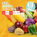 【ふるさと納税】伊達なお野菜とフルーツの詰め合わせ（夏） 旬の野菜とフルーツのセット 福島県産 やさい 果物 くだもの 東北 F20C-495