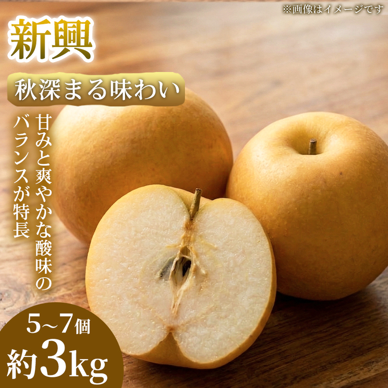 【秋深まる味わい】熊本県産 新興 5～7個(約3kg) 1箱 新興 梨 