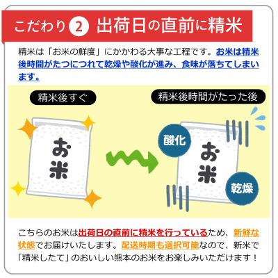 ふるさと納税 甲佐町 令和7年産新米『甲佐の輝き』精米20kg【配送指定可】【ZI】 |  | 02