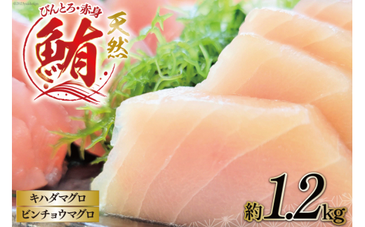 
【びんとろ】【赤身】天然鮪セット 各300g×2袋 合計約1.2kg [大長増田商店 静岡県 吉田町 22424143] 鮪 マグロ まぐろ 魚 海鮮 ビンチョウマグロ キハダマグロ 赤身 天然 1キロ以上 冷凍
