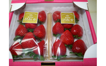 【先行受付】とちあいか 約270g×2パック ｜ いちご 苺 イチゴ 果物 フルーツ 人気 数量限定 カクテル ヨーグルト スムージー 旬 栃木県 壬生町 ※2026年1月中旬～3月下旬頃に順次発送予