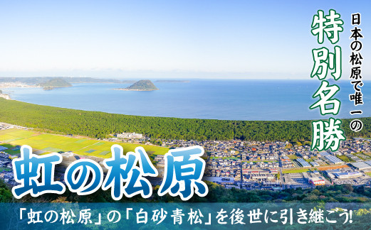 
日本の松原の中で唯一「特別名勝」に指定されている「虹の松原」の「白砂青松」を後世に引き継ごう【10000】
