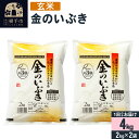 【ふるさと納税】【令和5年産】【玄米】令和5年産 金のいぶき 4kg(2kg×2袋)