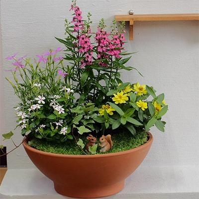ふるさと納税 朝倉市 季節のお花寄せ植え(ガーデン風)おまかせ動物フィギュア付き