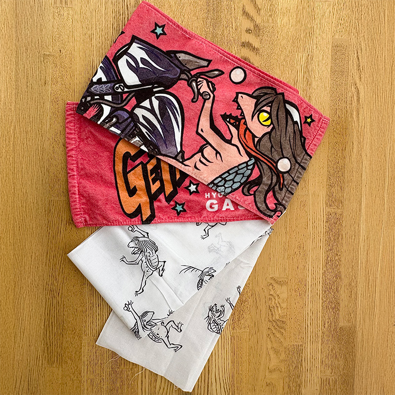 河童のガジロウ 手ぬぐいとタオルセット