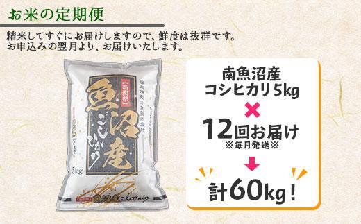 【定期便】新潟県 南魚沼産 コシヒカリ お米 5kg×計12回 精米済み 年間 毎月発送 （お米の美味しい炊き方ガイド付き）