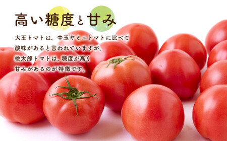 【ふるさと納税】 道の駅うきは 桃太郎トマト 12玉前後 (約2kg) 【2026年11月上旬から2027年5月上旬 出荷予定】 トマト とまと ももたろうトマト 大玉トマト 野菜 ベジタブル 新鮮 