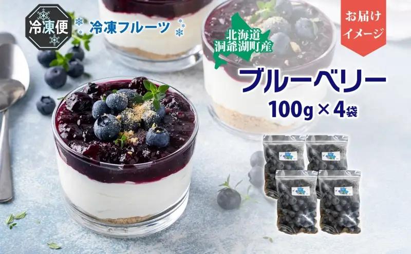 ブルーベリー 北海道産 小分け ブルーベリー【100g×4袋】【冷凍】