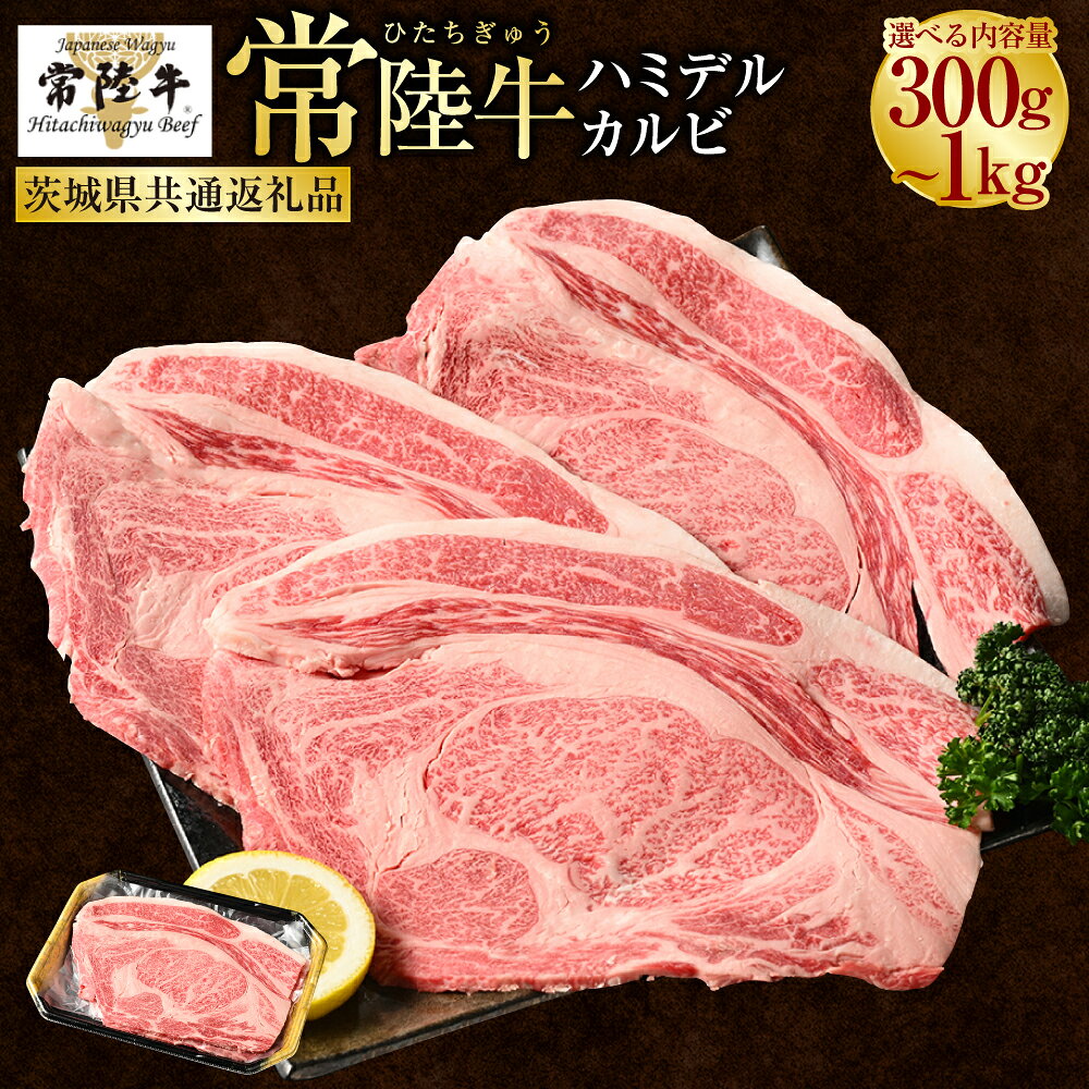 【ふるさと納税】【常陸牛】ハミデルカルビ300g〜1kg(2〜10枚) （茨城県共通返礼品 茨城県産）　肉 お肉 牛肉 ブランド牛 ブランド和牛 和牛 常陸牛 リブロース カブリ ゲタ リブ芯 リブ巻 カルビ 多部位 BBQ 冷凍 茨城県 守谷市 送料無料