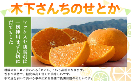 ＜木下さんちのせとか 訳あり 約3kg（S～3L大中小混み）＞ 訳アリ 家庭用 自宅用 柑橘 ミカン みかん 蜜柑 果物 くだもの フルーツ 国産 特産品 木下農園 愛媛県 西予市【常温】『2027年