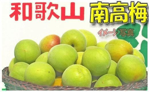 ［梅干・梅酒用］小粒（SまたはM－3Kg）熟南高梅＜2026年6月下旬～7月中旬発送予定＞フルーツ 果物 くだもの 食品 人気 おすすめ 送料無料［ART20］