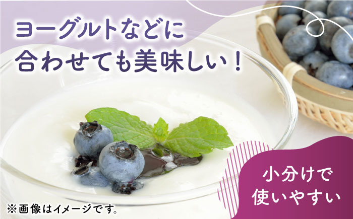 【先行予約】【数量限定】大粒 ブルーベリー 1000g（250g×4pc） 【すみれファーム】 [ZEP002]