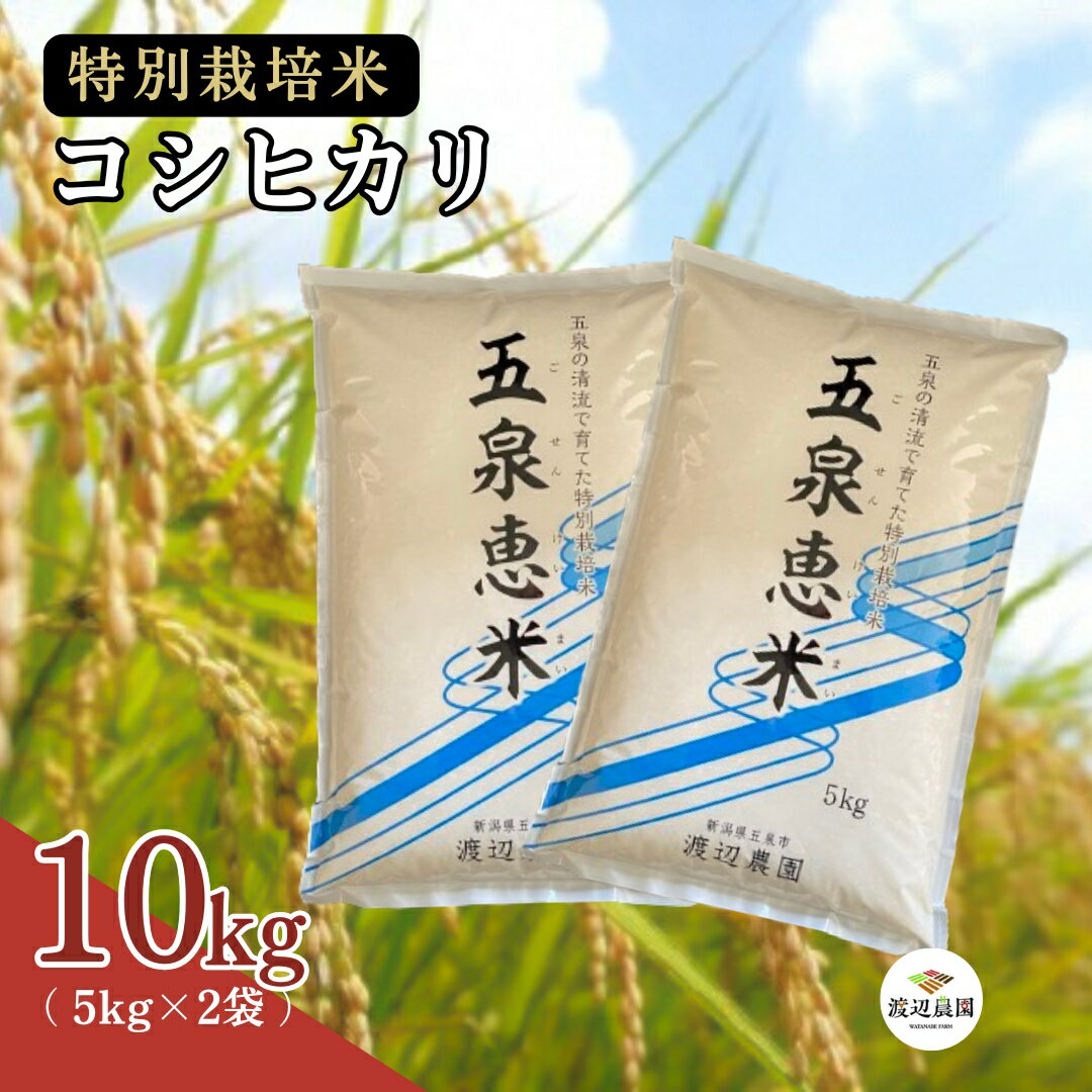 【ふるさと納税】令和7年産新米 特別栽培米コシヒカリ 10kg (5kg×2袋) 先行予約 選べる配送回数 新潟県 五泉市 渡辺農園