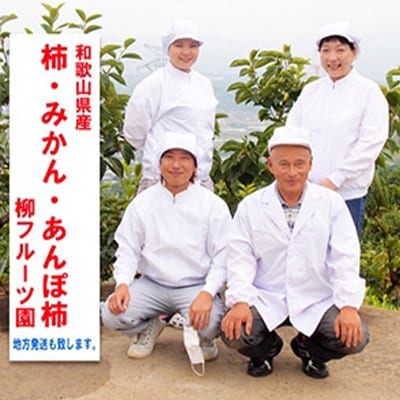 【先行受付】柳フルーツ園の訳あり富有柿　5kg【1077827】