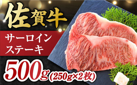 【3回定期便】艶さし！ 佐賀牛 ヒレステーキ＆サーロインステーキ 食べ比べ セット 計2.4kg  (ヒレ150g・サーロイン250g×各2枚×3回) 吉野ヶ里町 佐賀牛 ヒレ サーロイン ステーキ 