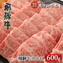 【ふるさと納税】飛騨牛 カルビ　600g　【冷凍】和牛 ブランド牛 下呂温泉 ギフト 贈り物 贈答 焼肉 霜降り 牛肉 肉 和牛 赤身 人気 カルビ アウトドア お中元 お歳暮 父の日 敬老の日 母の日 お祝 31000円 岐阜県 下呂市