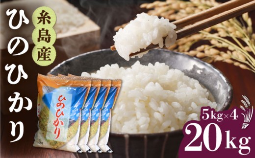 【令和7年産】糸島産 ひのひかり 20kg 糸島市 / 三島商店 [AIM075]