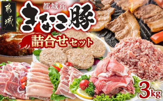 
                  「きなこ豚」詰合せ3kg_AD-12-003_(都城市) ブランド豚 柔らかい豚肉 豚バラ焼肉用 豚ロース生姜焼き 豚肩ロース焼き肉 ウデモモ小間切れ モモミンチ ハンバーグ おかず
                