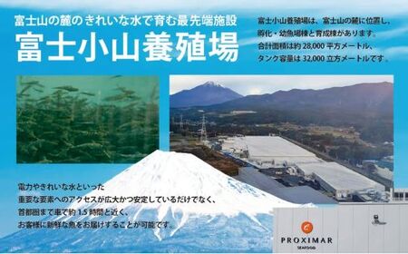 国産 アトランティックサーモン ポキ 丼 70g × 4パック コク旨ごまだれ サーモン 漬け