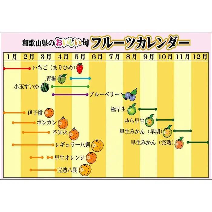 みかんこい梅　100g×5個