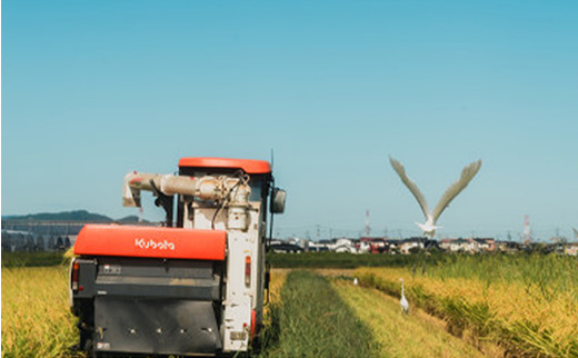 令和7年産 身体にやさしいお米【栽培期間中、農薬・化学肥料を一切使わず育てたお米】3kg 農家直送いたします【精米 白米 お米 米 ご飯 ごはん ブランド米 元気つくし 福岡県 筑前町】