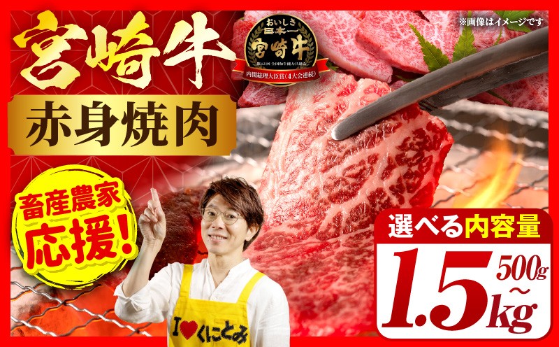 
                  「畜産農家応援」【選べる内容量】宮崎牛赤身(ウデorモモ) 焼肉 500g～1.5kg 宮崎牛 牛肉 肉 赤身焼肉 モモ焼肉 ウデ焼肉 牛肉おすすめ 牛肉ランキング 牛肉返礼品 焼肉 バーベキュー BBQ 冷凍牛肉 内閣総理大臣賞 国産牛肉 牛肉プレゼント 牛肉贈答 牛肉贈り物 牛肉ギフト
                