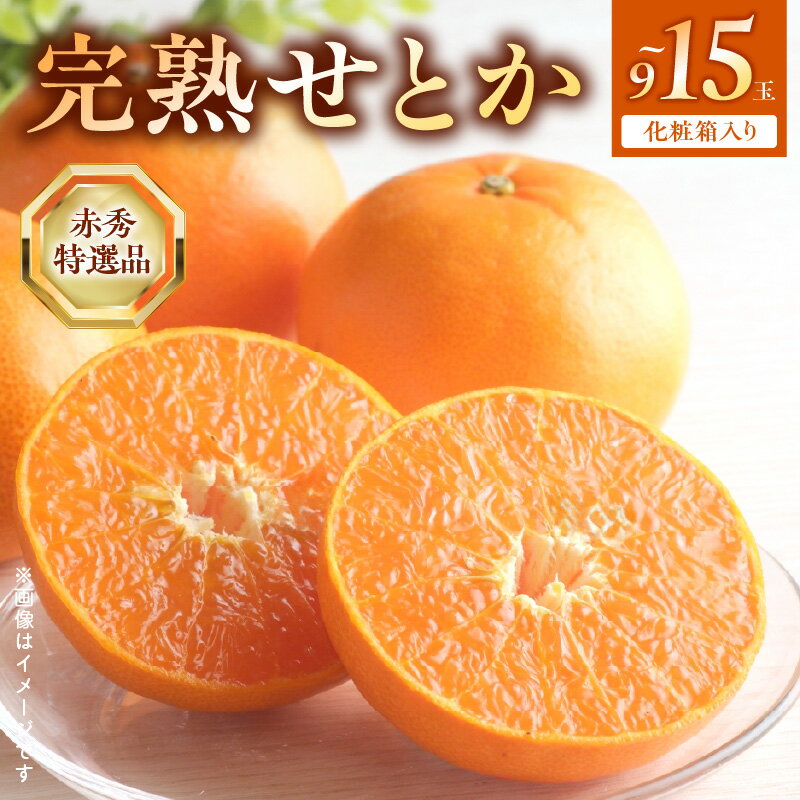 【ふるさと納税】【2026年先行受付】 完熟 せとか 赤秀 特選品 9～15玉 化粧箱【ミカン 春みかん 柑橘】