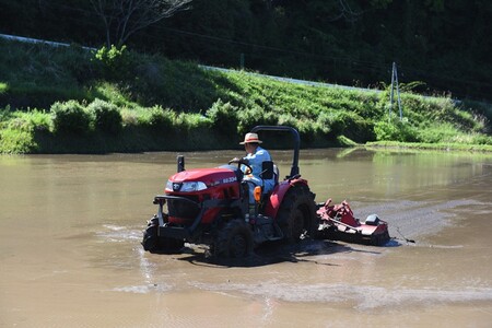 【予約受付】令和8年産・新米 美緑米 4kg 予約 新米 令和8年産 南小国産 米 白米 精米 あきげしき ご飯 ごはん お米 2kg 2袋 産地直送 はいわら 熊本 阿蘇 南小国町 送料無料