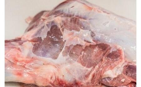 北海道 ペットのご飯 エゾシカ  生肉 骨 セット  加熱用 エゾ鹿 鹿 鹿肉 生肉 ロース モモ ミンチ ペットフード ペット用 犬用 猫用 安心 安全 シニア犬 シニア猫 いぬ ねこ おやつ ごは