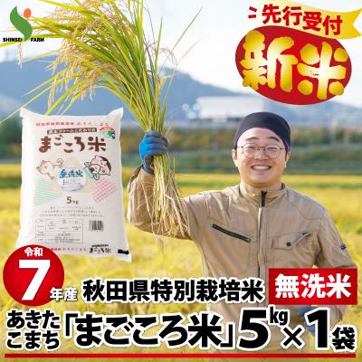 ふるさと納税 大館市 【新米先行受付】令和7年産秋田県特別栽培米あきたこまち「まごころ米(無洗米)」5kg