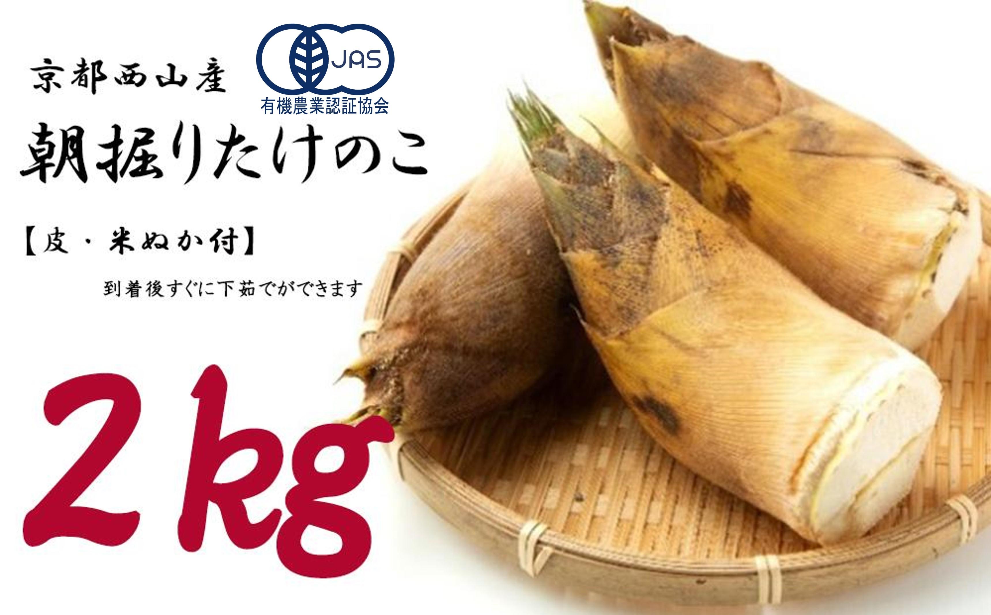 ＜先行予約＞【皮付き京都西山産】 朝掘りたけのこ ２kg（米ぬか付）【アドプランツコーポレーション】 261009_B-BB09