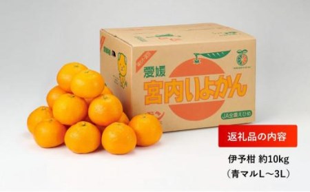 ★200セット限定★ JA特選品　伊予柑10kg（青マルＬ～3Ｌ）【EN0071】