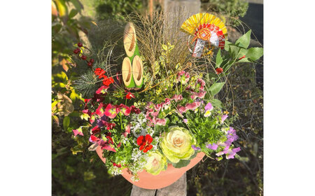 新年を華やかに彩る お正月の寄せ植え(おまかせ) / 正月飾り 花苗 鉢 ピック【GreenlifeYoshimura】[BHBG001]
