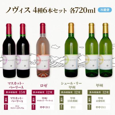ふるさと納税 笛吹市 NOVICEノヴィス 4種6本セット 720ml ワイン 赤 白 ロゼ 日川中央葡萄酒 山梨県笛吹市 |  | 03