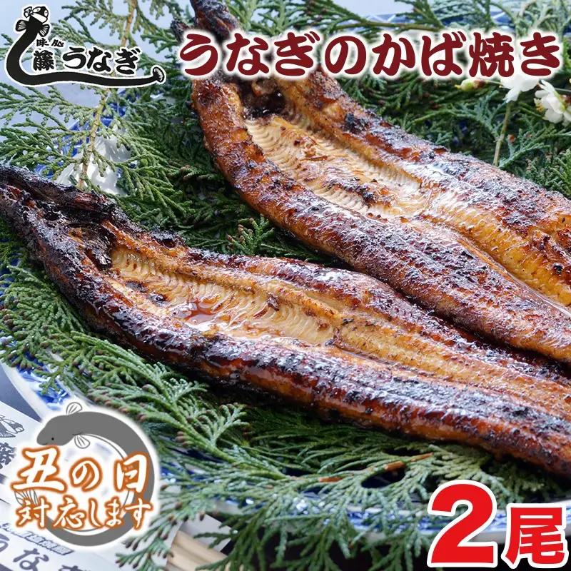 【土用の丑の日】藤うなぎ かば焼き2尾 国産うなぎ 宮崎 蒲焼 鰻＜15-1a＞