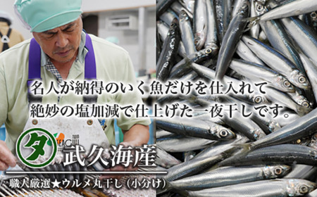 【訳あり】魚の丸干し＆開き おまかせセット3kg 魚 海鮮 干物 ひもの 丸干し 切り身 おつまみ おかず 人気 珍味 グルメ 規格外 国産 武久海産 愛媛 愛南