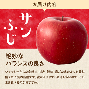 【令和6年産 先行予約】サンふじ&ラフランス 詰め合わせ 3kg(秀品) 東根市 山形県 東根農産センター提供 hi027-129　( 2024年産 先行予約 先行受付 リンゴ 林檎 アップル フルー