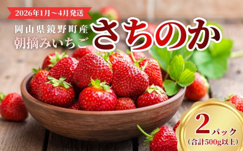 鏡野町産 朝摘みいちご「さちのか」2パック（合計500g）【2026年1月～4月発送】【029-a014】