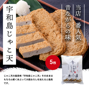 ＼10営業日以内発送／ 【郷土料理】 じゃこ天 かまぼこ 詰め合わせ Aセット 3種 安岡蒲鉾店 つみれ 蒲鉾 かまぼこ 赤白 天ぷら C015-020001