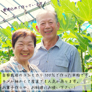  ＼ 米粉 ／ 【自家製 米粉】1 kg（500g×2） 国産 溝木さんの米粉 小松島 グルテンフリー 米 パン