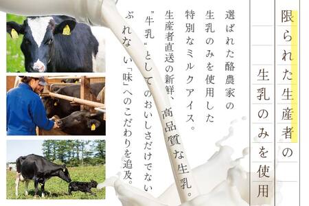 【毎月定期便】　THE ICE　業務用１リットル いちごケーキ ×6ヵ月定期便 be003-1076-100-6  （ あいす アイス アイスクリーム いちご イチゴ 苺 業務用 北海道 別海町 人気