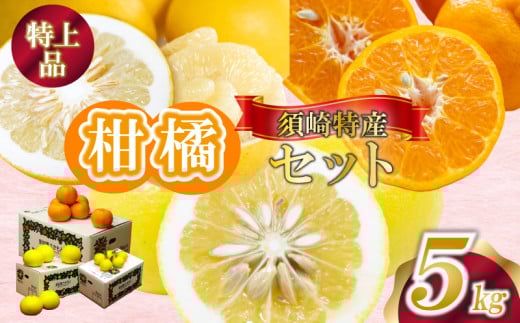 定期便 3回 限定30セット 須崎特産柑橘 特上品 各 5kg 箱セット ポンカン 土佐文旦 小夏 ポンカン 土佐 文旦 ぶんたん ブンタン 小夏 こなつ 時期 人気 旬 柑橘 フルーツ 果物 高知 須崎 KJS4000